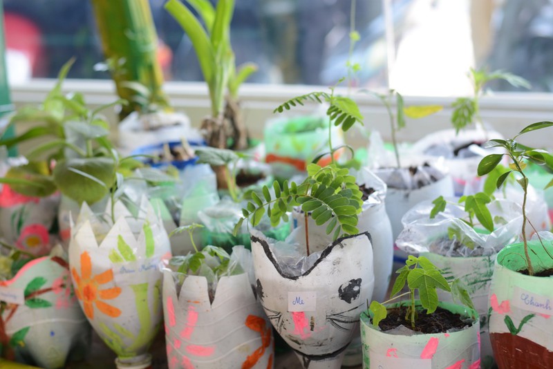 Tận dụng các chai nhựa để trồng cây